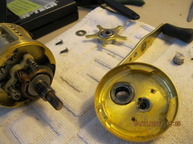 Daiwa Luna 203 (& 253)